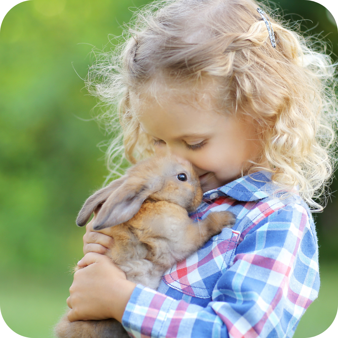 Visit an Animal Sanctuary Hey Bestie Summer Activities for Kids Animal Sanctuary